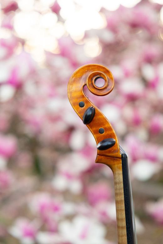 Detail from a recent session